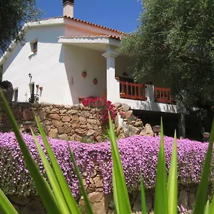 Maravilla , Loiri Porto San Paolo Italia